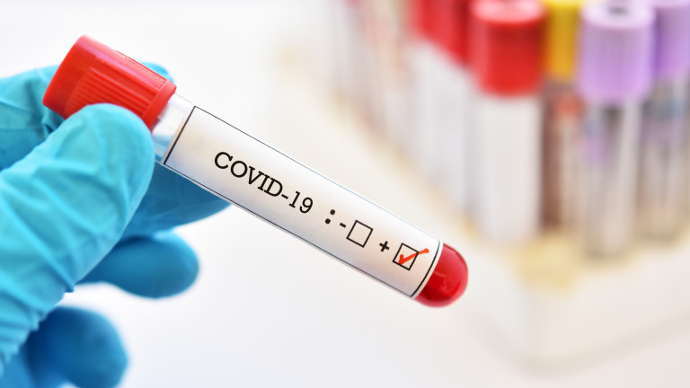 Огнище на COVID-19 е установено в дом за стари хора в Харманли. 12 потребители в Дома за стари хора в Харманли са заразени с коронавирус, съобщават от...